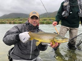 Fly fishing trout in beautiful New Zealand