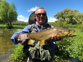 Fly fishing trout in beautiful New Zealand