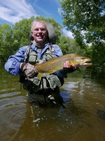 Fly fishing trout in beautiful New Zealand