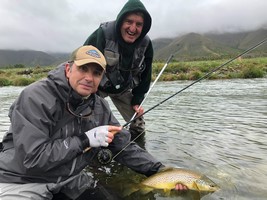 Fly fishing trout in beautiful New Zealand