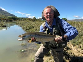 Fly fishing trout in beautiful New Zealand