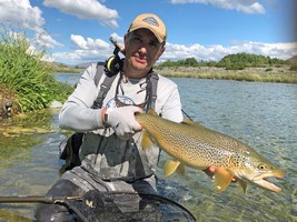 Fly fishing trout in beautiful New Zealand