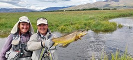 Fly fishing trout in beautiful New Zealand