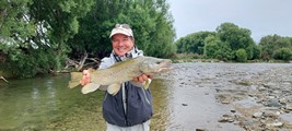 Fly fishing trout in beautiful New Zealand