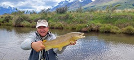 Fly fishing trout in beautiful New Zealand