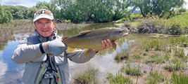 Fly fishing trout in beautiful New Zealand