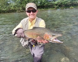 Fly fishing trout in beautiful New Zealand