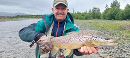 Fly fishing trout in beautiful New Zealand